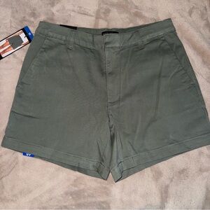 Banana Republic Agave Green Shorts 10